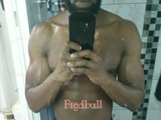 Bigdbull