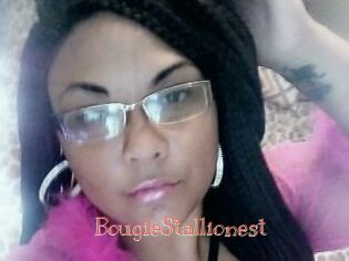 BougieStallionest