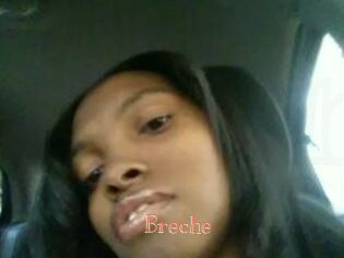 Breche