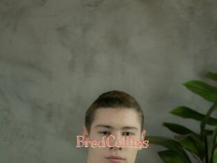 BredCollins Celebrix