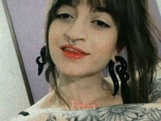 Briza Celebrix