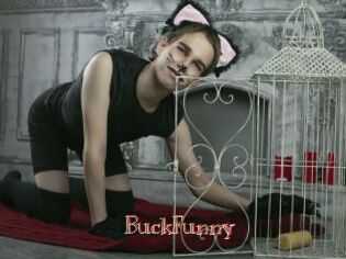 BuckFunny