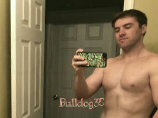 Bulldog35 Celebrix