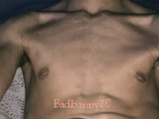 Badbunny75