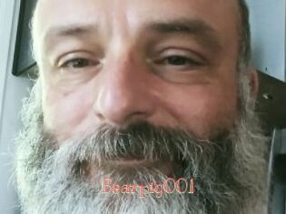 Bearpig001