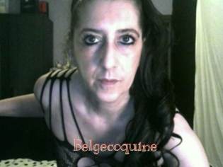 Belgecoquine