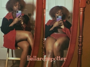 Bellarosepotter