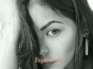 Bigassmia