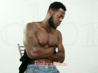 bigbrandon Celebrix