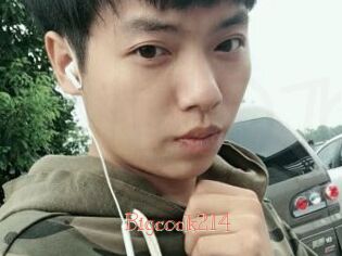 Bigcock214