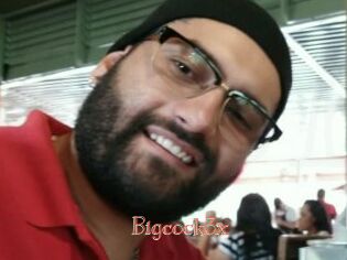 Bigcock3x