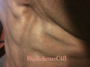 Bigdickcum018