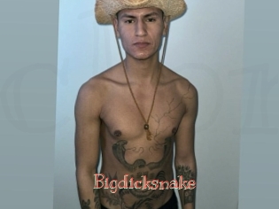 bigdicksnake Celebrix