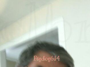 Bigdog614