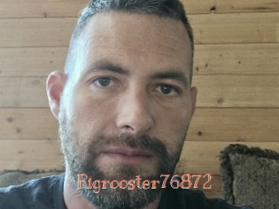 Bigrooster76872