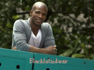Blacklatinbear