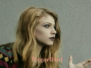 Boggartbird