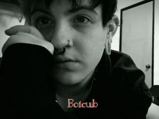Boicub