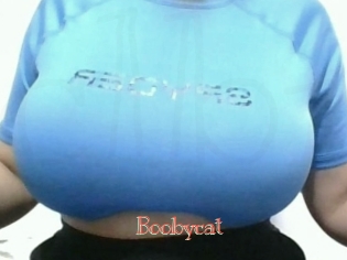 Boobycat