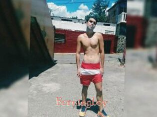 Borningboy