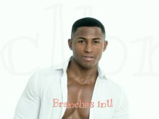 Branches_intl