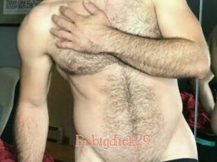 Brbigdick29