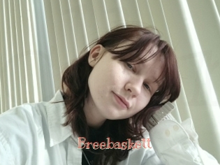 Breebaskett