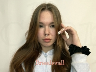 Breedevall