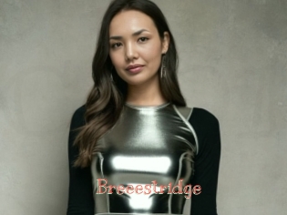 Breeestridge