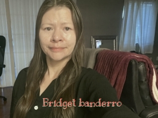 Bridget_banderro