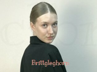 brittgleghorn Celebrix