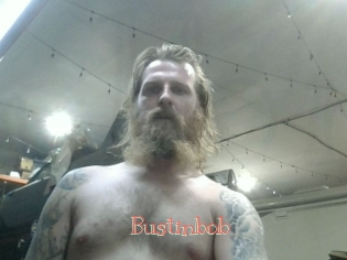 Bustinbob