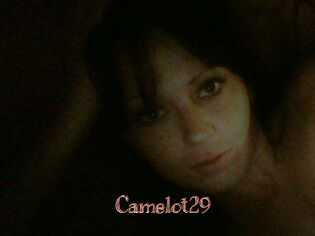 Camelot29