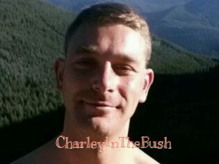 CharleyInTheBush