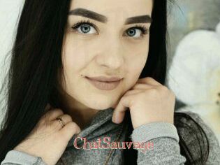 ChatSauvage Celebrix