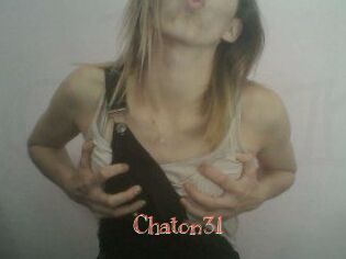 Chaton31
