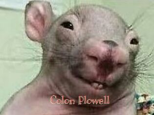 Colon_Plowell