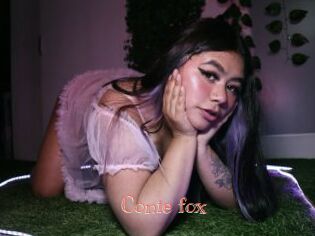 Conie_fox