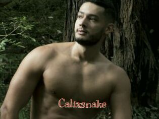 Calixsnake