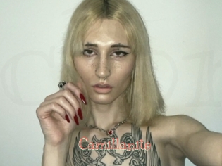 Camillanite
