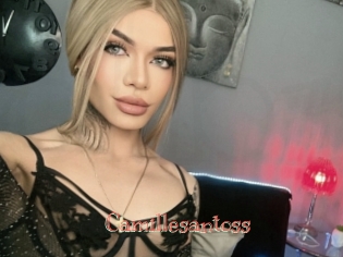 Camillesantoss