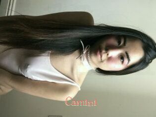 Camini