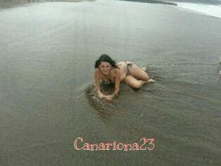 Canariona23