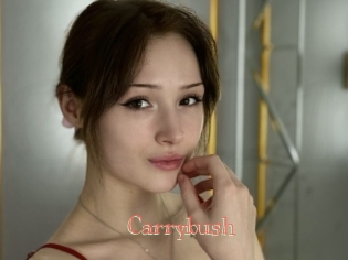 Carrybush