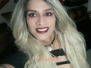 Catahots