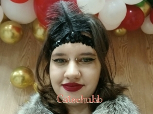 Catechubb
