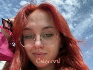 Catecovil