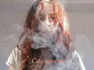 Cato_avocato