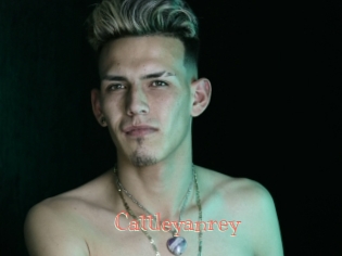 cattleyanrey Celebrix