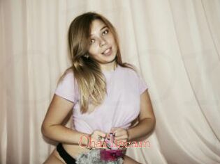 Charliecam